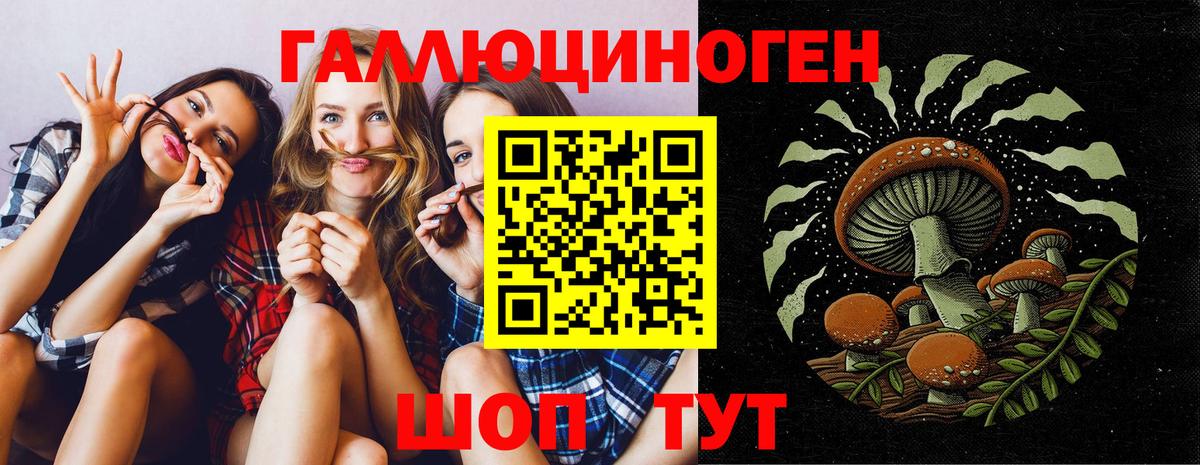 Усть-Лабинск  Галлюциногенные грибы Psilocybine cubensis  Вход с VPN 